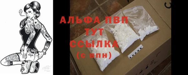 эйфоретик Кинешма