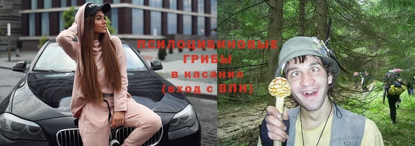 эйфоретик Кинешма