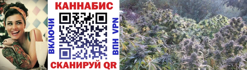 Купить Шарыпово Марихуана индика